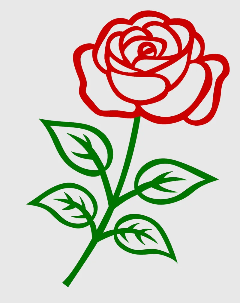 International Women's Day Rose 4