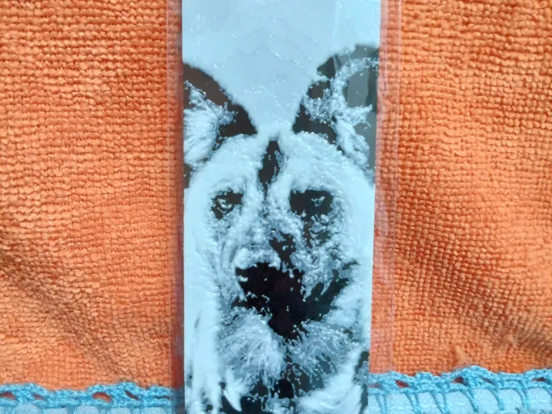 Bookmark African Wildlife - African Wilddog