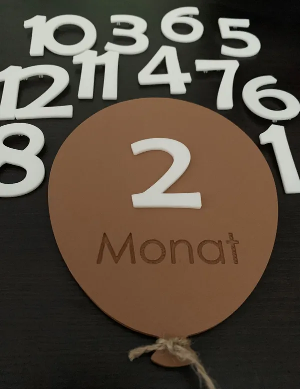 https://makerworld.bblmw.com/makerworld/model/USb58dfa5a41088b/design/2024-09-20_2c98e63b419c58.jpg