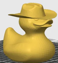 Canard cowboy — photo 2