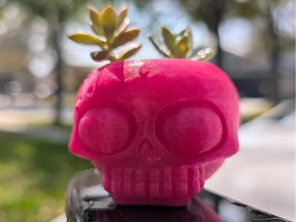 https://makerworld.bblmw.com/makerworld/model/USb599d7f480f76b/design/2025-03-09_e5c255d54a59d.jpg