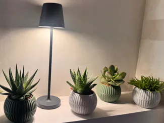 IKEA Mini Plant Upgrade – Stylish Ribbed Pot