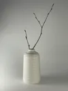 Striped version, small size