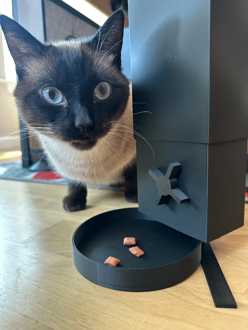 Cat/dog feeder