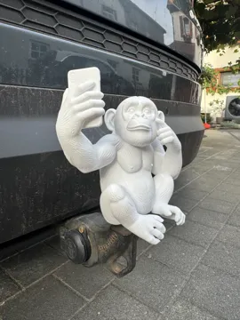 Tapa o cubierta: Monkey Selfie Tow Hitch Cover — vista de referencia 3
