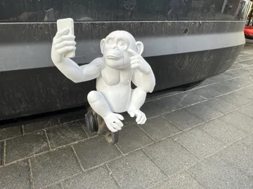 Tapa o cubierta: Monkey Selfie Tow Hitch Cover — vista de referencia 4