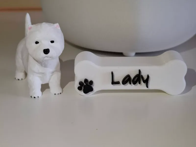 West Highland White Terrier "Lady"