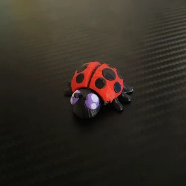 https://makerworld.bblmw.com/makerworld/model/USb5ad21f59957fe/design/2024-01-06_7ebf5839ef4ac.jpg