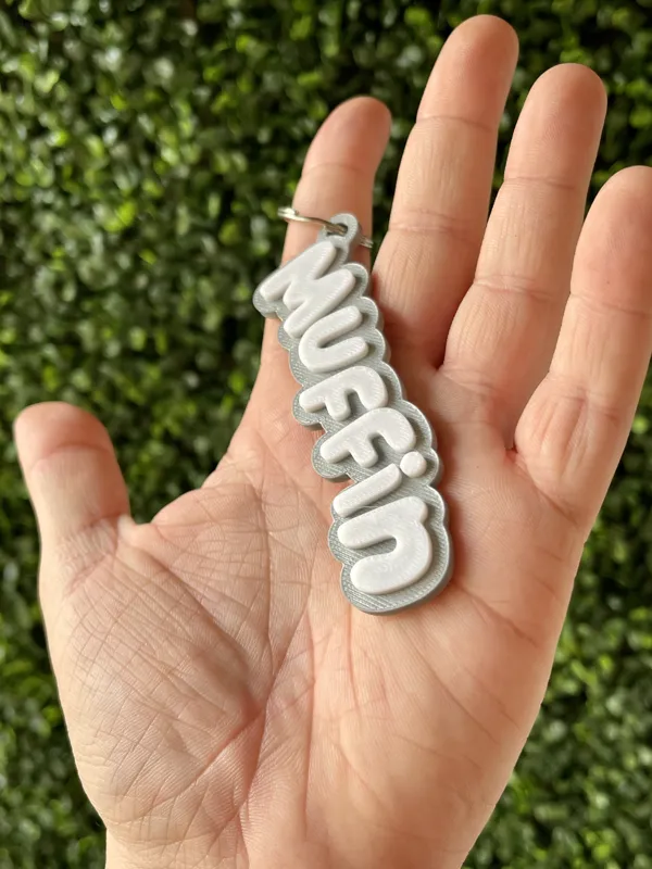 https://makerworld.bblmw.com/makerworld/model/USb5adca270d5a13/design/2024-05-06_790a435b66314.jpg