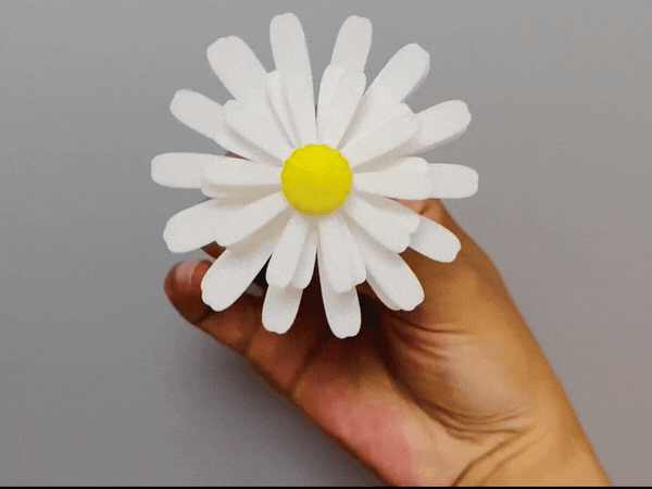 Miniatura 1 do modelo 3D 旋转的小雏菊