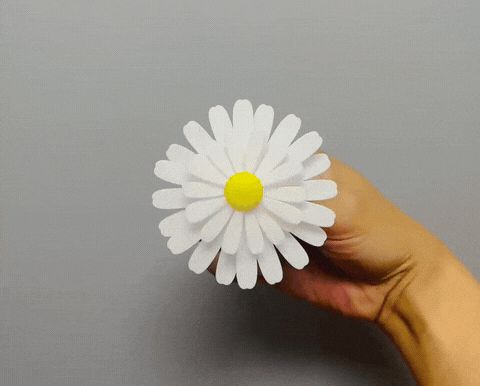 https://makerworld.bblmw.com/makerworld/model/USb5adff012c619/design/2025-05-17_167788d0f68da8.gif