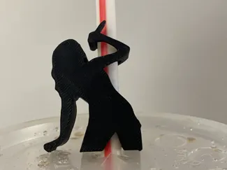 Taylor Swift Straw topper