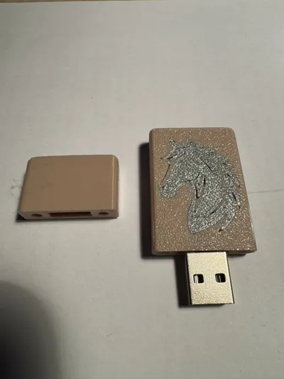 USB drive case