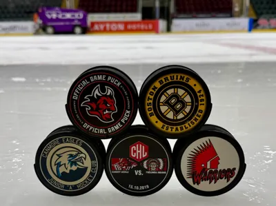 Wall Mounted Ice Hockey Puck Display