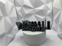 Plaque de bureau logo Wisconsin Badgers — photo 2