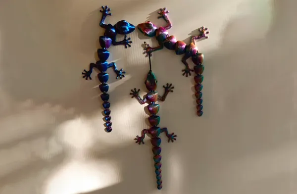 https://makerworld.bblmw.com/makerworld/model/USb5b38345381bbf/design/2024-09-10_3d4da5a975808.png