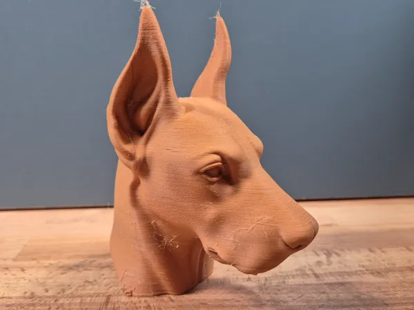 https://makerworld.bblmw.com/makerworld/model/USb5b403dce9da25/design/2025-05-13_f0e66bed29d338.jpg