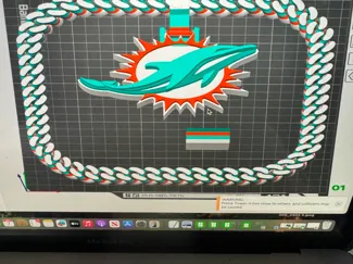 miami dolphins 