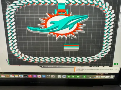 miami dolphins 