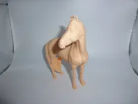 Cheval Marwari — photo 3