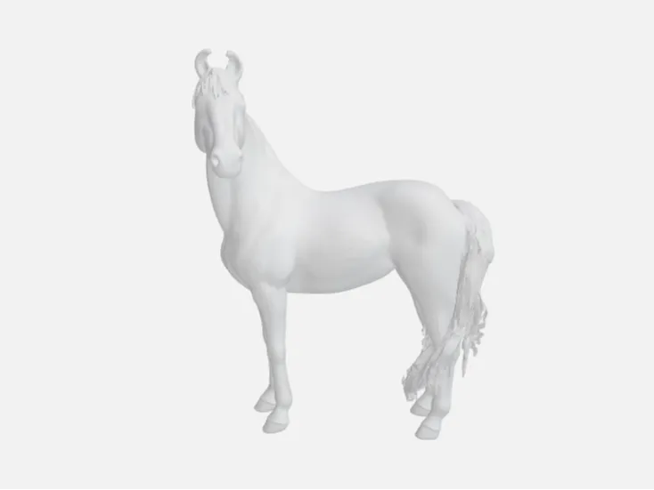 Cheval Marwari