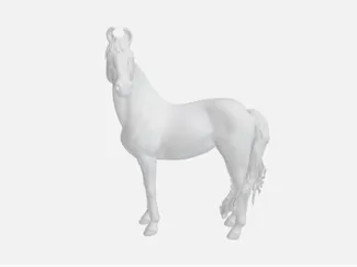 Marwari horse
