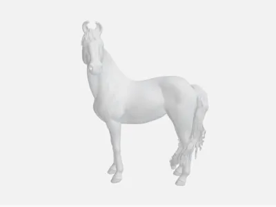 Marwari horse