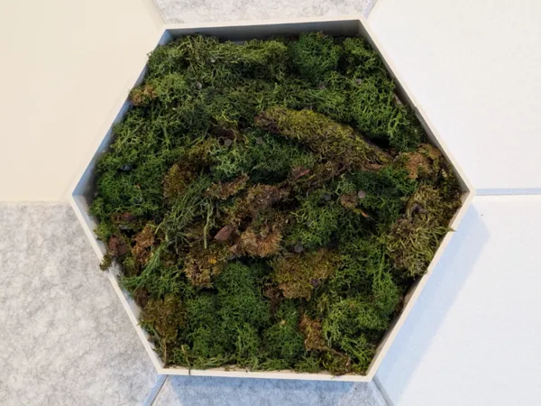 https://makerworld.bblmw.com/makerworld/model/USb5b88e9cc25c1b/design/2025-02-26_bc49c8195b0f6.jpg