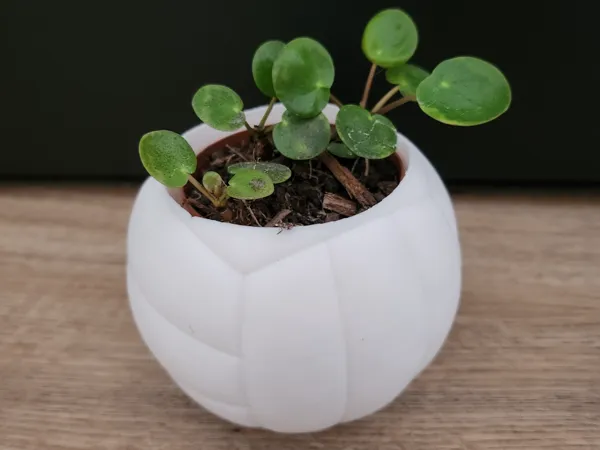 https://makerworld.bblmw.com/makerworld/model/USb5c025492aa864/design/2025-08-31_8752427088e5a.jpg