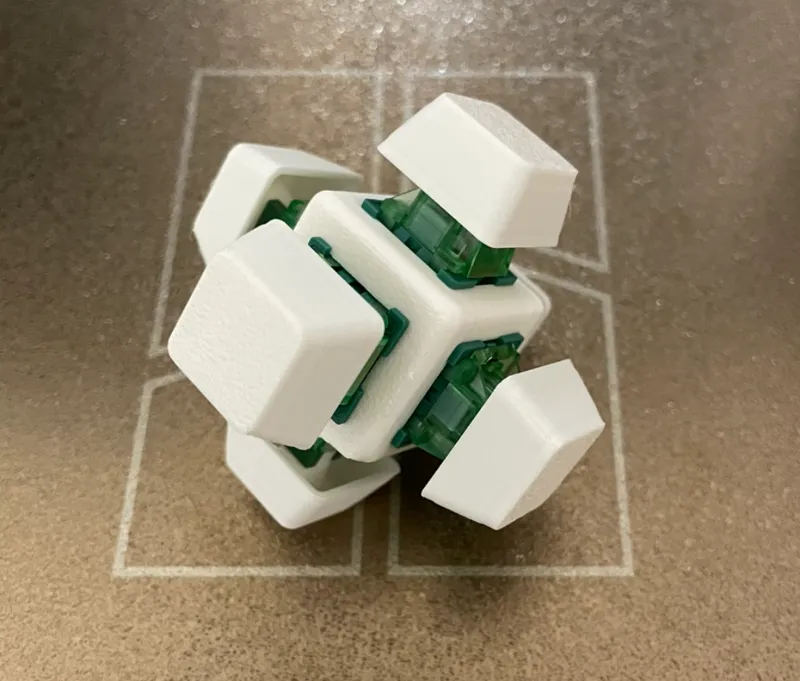 Clicky Fidget Toy