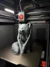 0.2mm layer, 2 walls, 10% infill
