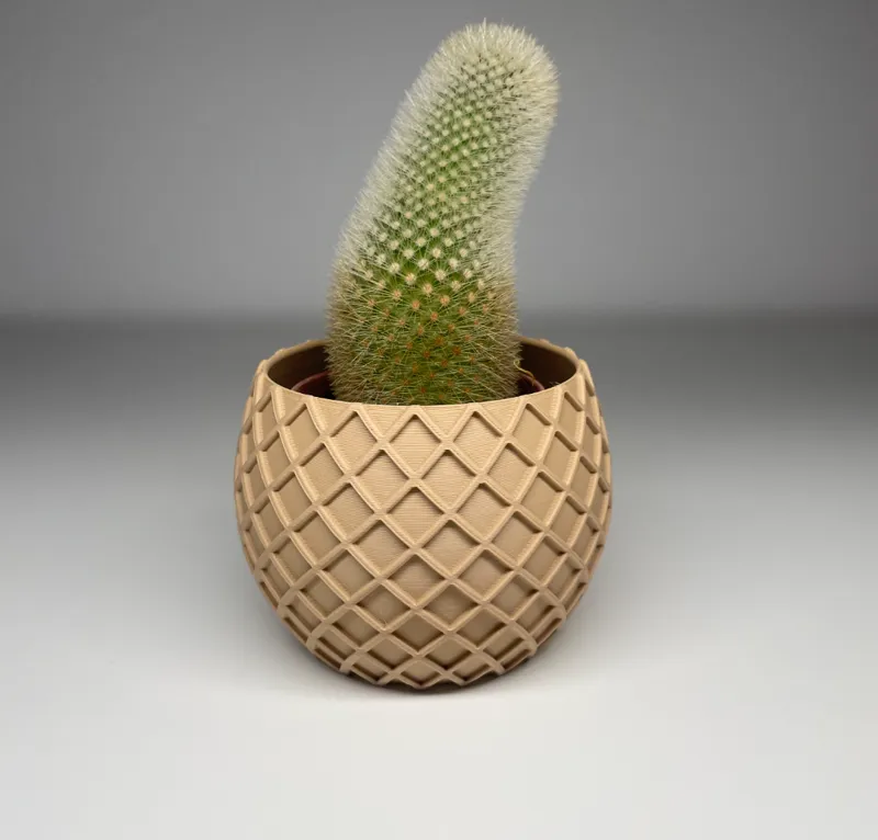 Crossed Cactus Planter