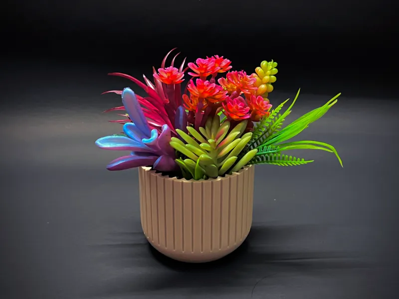 Vase for succulent