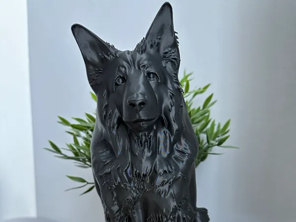 https://makerworld.bblmw.com/makerworld/model/USb5d03c7aac52bd/design/9776a4459fbcde57.jpeg