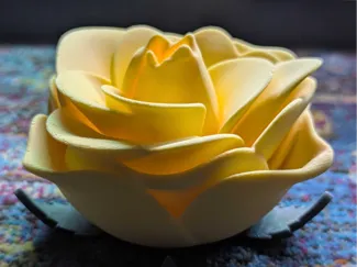PawP Mother's Rose Solid v2