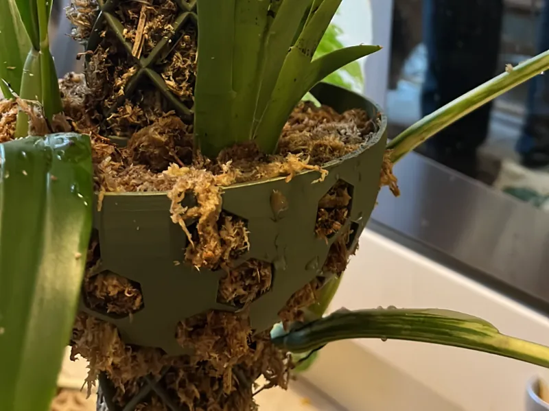 Planter for 40mm Mosspole