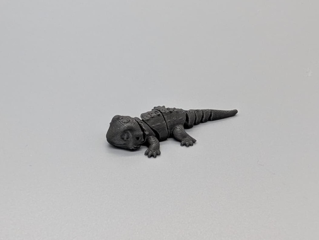 Miniatura 1 do modelo 3D Tiny Bearded Dragon