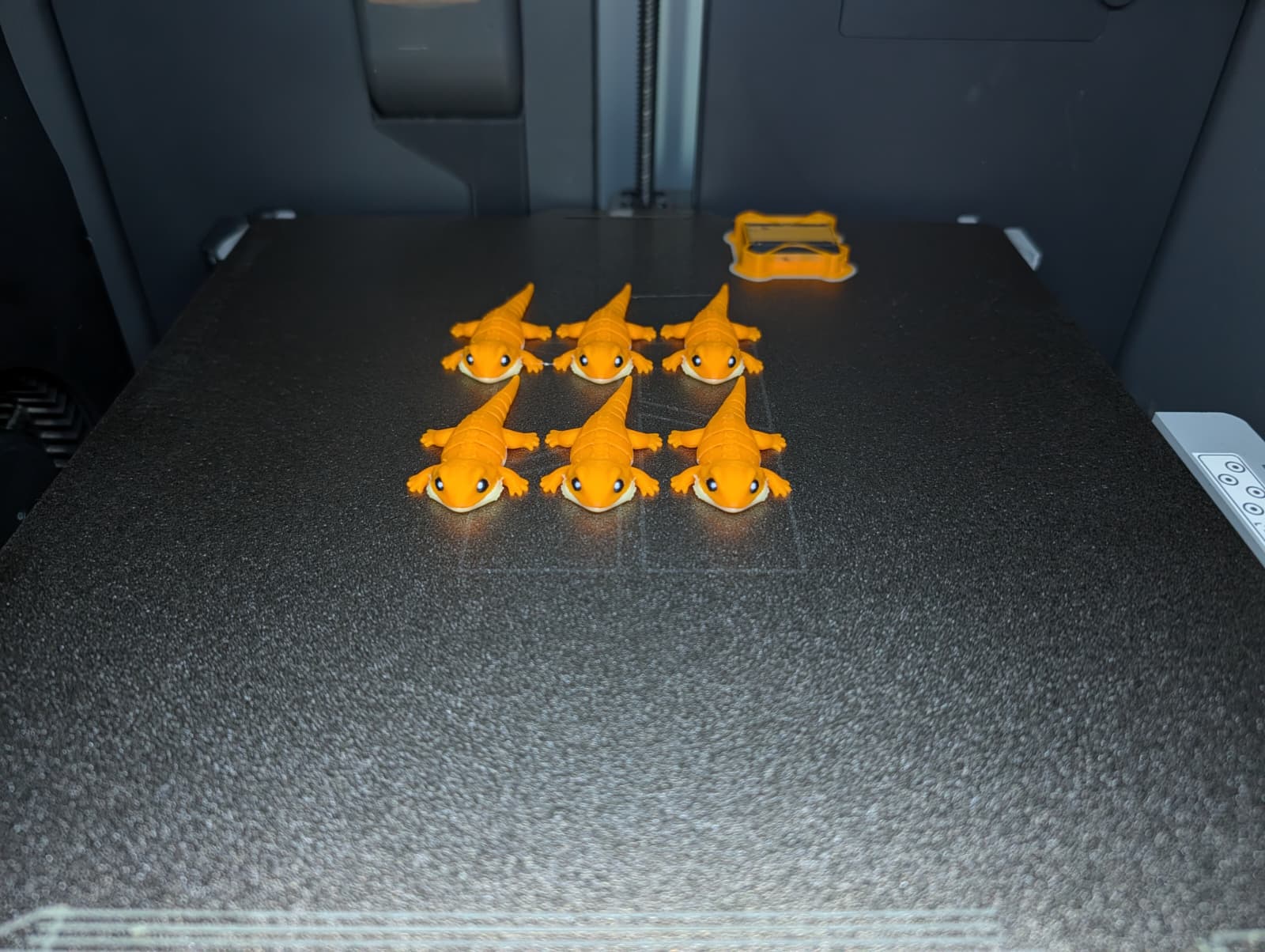 Miniatura 2 do modelo 3D Tiny Bearded Dragon