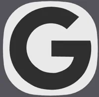Google (2 colors)