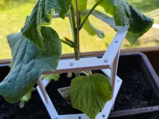 Planty - Modular plant growing support