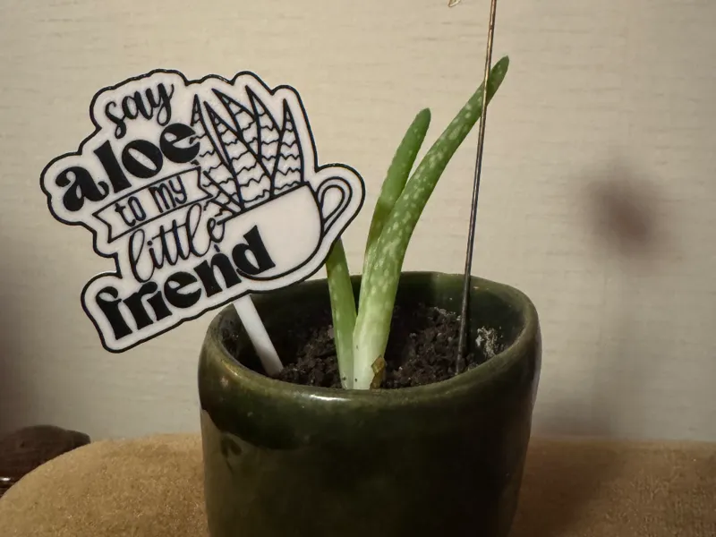 say aloe to my little friend