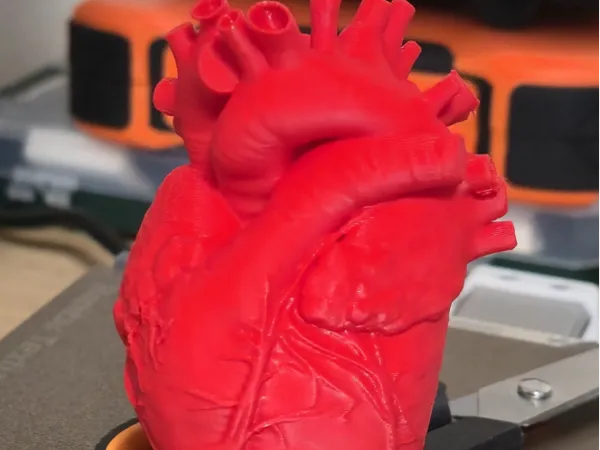 https://makerworld.bblmw.com/makerworld/model/USb5db7417644a59/design/535a51f0a37cf2d5.jpg