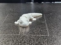 Monocolore 8 cm