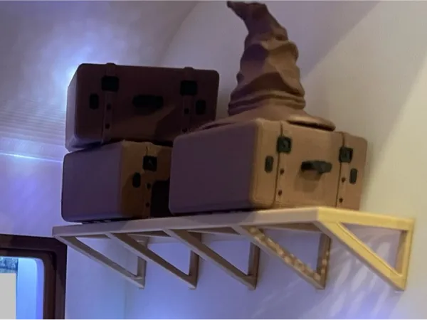 https://makerworld.bblmw.com/makerworld/model/USb5debd6267128c/design/2025-05-29_4ac6da2524095.jpg