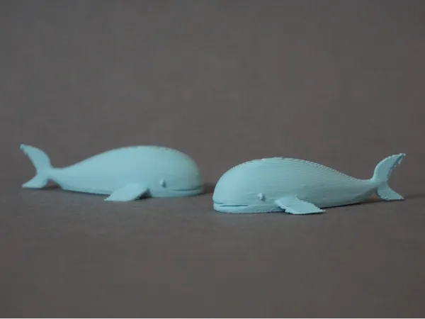 https://makerworld.bblmw.com/makerworld/model/USb5e1e378753f5/design/2025-01-11_5281b15536219.jpg