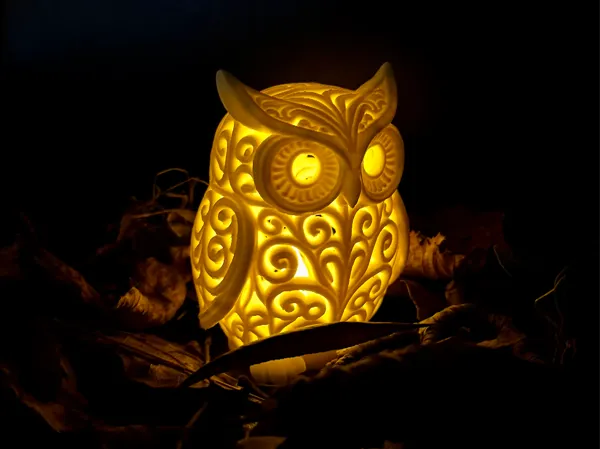 https://makerworld.bblmw.com/makerworld/model/USb5e579a598fe7f/design/2025-12-27_b938f9ebc1ce78.jpeg