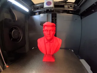 Trump Bust