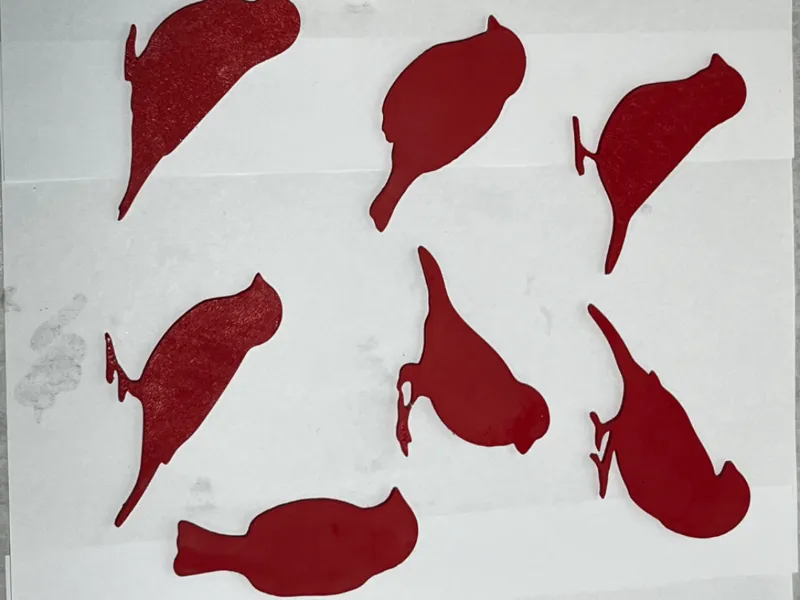 bird outline
