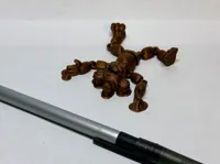 Freddy Fazbear articulé (version améliorée) — photo 5