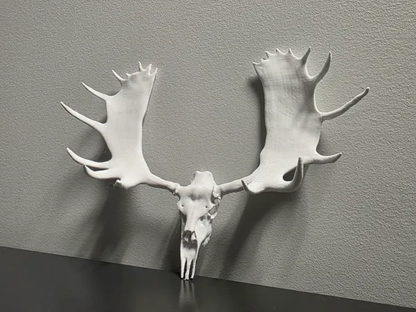 https://makerworld.bblmw.com/makerworld/model/USb5eded09879bb/design/2025-04-03_5bcdd5e783f04.jpg